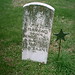 Robert Craven Photo 9