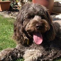 Steven Moye Photo 15