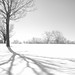Anita Snow Photo 2