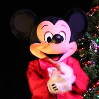 Vickie Lowe Photo 25