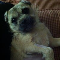 Tracie Walls Photo 7