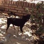 Paul Becker Photo 28