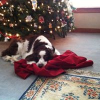 Deborah Sheppard Photo 9