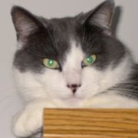 Joy Mcneill Photo 10