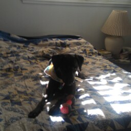 Peggie Sharp Photo 1