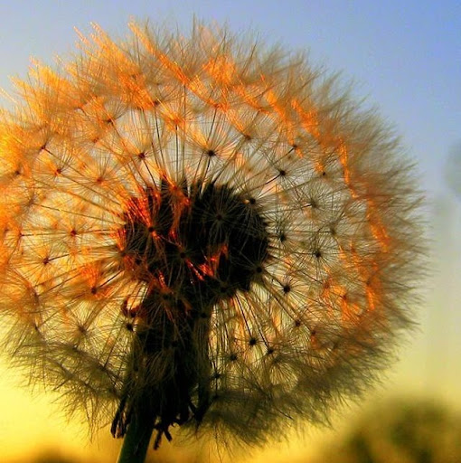 Amy Sherman Photo 43