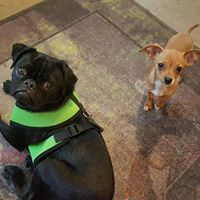 Annette Franks Photo 6