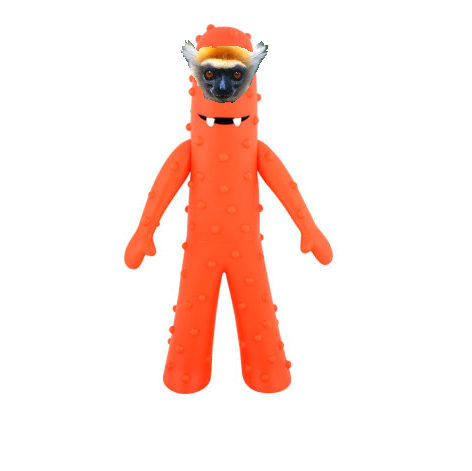 Bob Marshall Photo 42