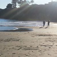 Stacy Freitas Photo 11