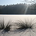Mark Teich Photo 13
