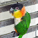 Stephanie Blackie Photo 10