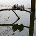 Ryan Bird Photo 10