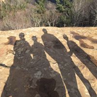 Tracy Ferguson Photo 16