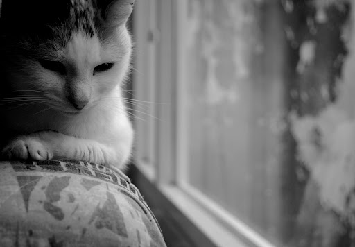 Constance Fairchild Photo 2