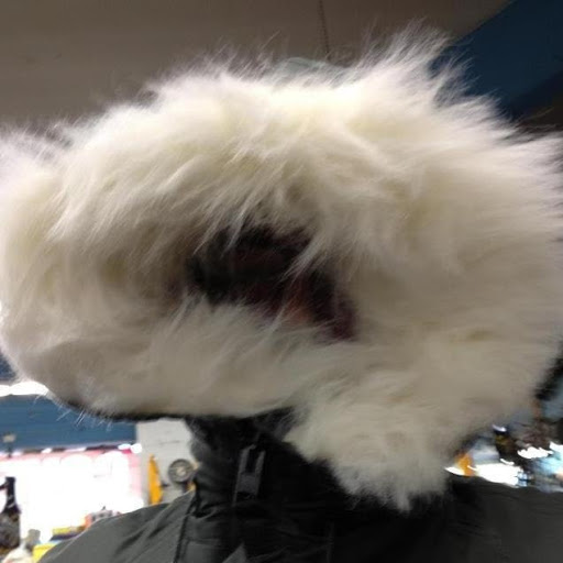 Robert Wheeler Photo 52 Robert Wheeler Photo 52