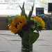 Irene Walsh Photo 12