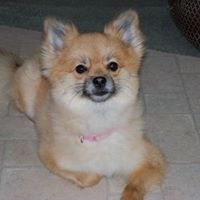 Gail Boudreau Photo 11