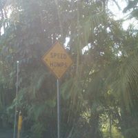 Marsha Mcdonald Photo 26