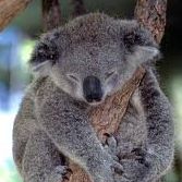 Jared Bailey Photo 16