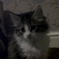 Kellie Knowles Photo 31