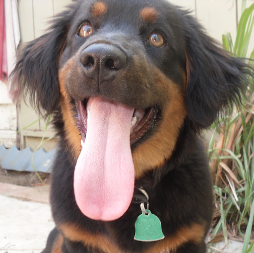 Stephanie Samson Photo 11