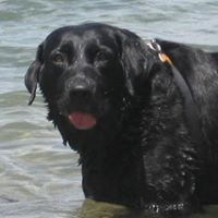 Shawn Reardon Photo 12