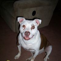 Lorraine Walker Photo 30 Lorraine Walker Photo 30