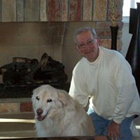 Mark Perlman Photo 29
