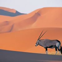 Roy Summers Photo 13