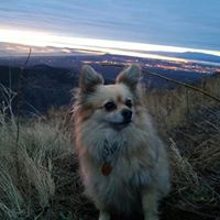 Connor Swanson Photo 19