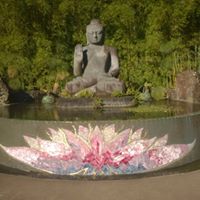 Dianne Field Photo 8