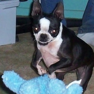 Penny Russell Photo 42