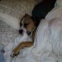Christine Evans Photo 29