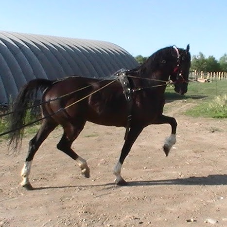 Edwin Martin Photo 40 Edwin Martin Photo 40