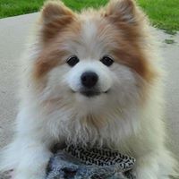 Michelle Christensen Photo 14