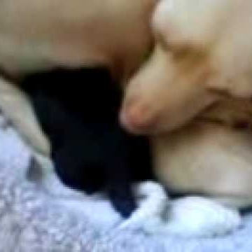 Jerry Wilkins Photo 28