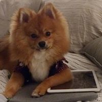 Kristopher Sage Photo 4