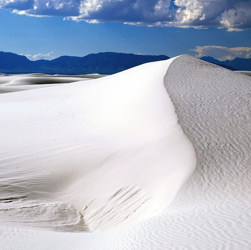 Terrance Howell Photo 20