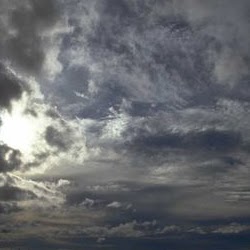 Susan Chase Photo 16