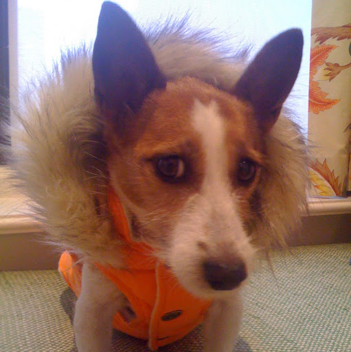 Sandra Phillips Photo 6 Sandra Phillips Photo 6