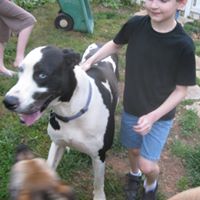 Paul Seidel Photo 18