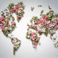 Tamara Vincent Photo 12