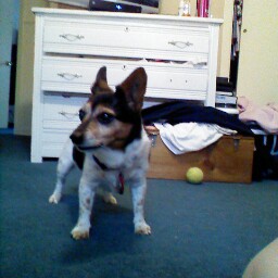 Sharon Wade Photo 11