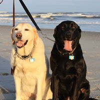 Shelley Butler Photo 15