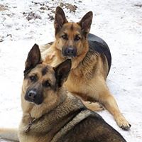 Kathleen Wilkie Photo 20