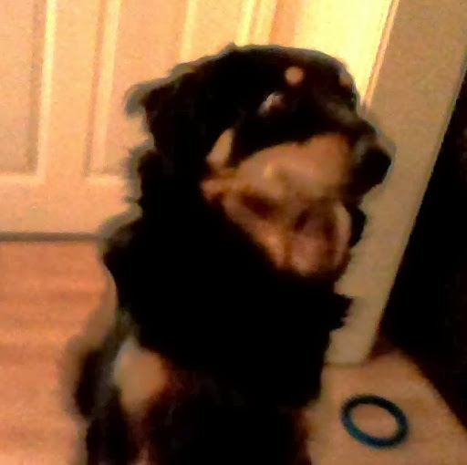 Jenny Fitzpatrick Photo 16