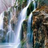 Kimberly Rocha Photo 24