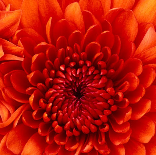 Paula Stanley Photo 32