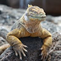 Philip Schaefer Photo 21