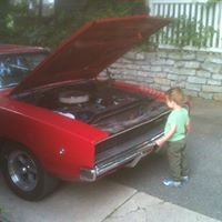 Alan Rutter Photo 18